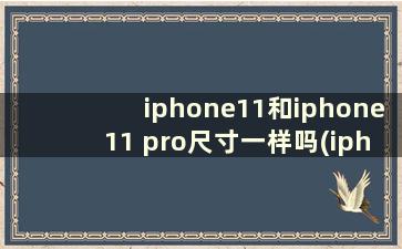 iphone11和iphone11 pro尺寸一样吗(iphone11和pro的尺寸一样大吗)